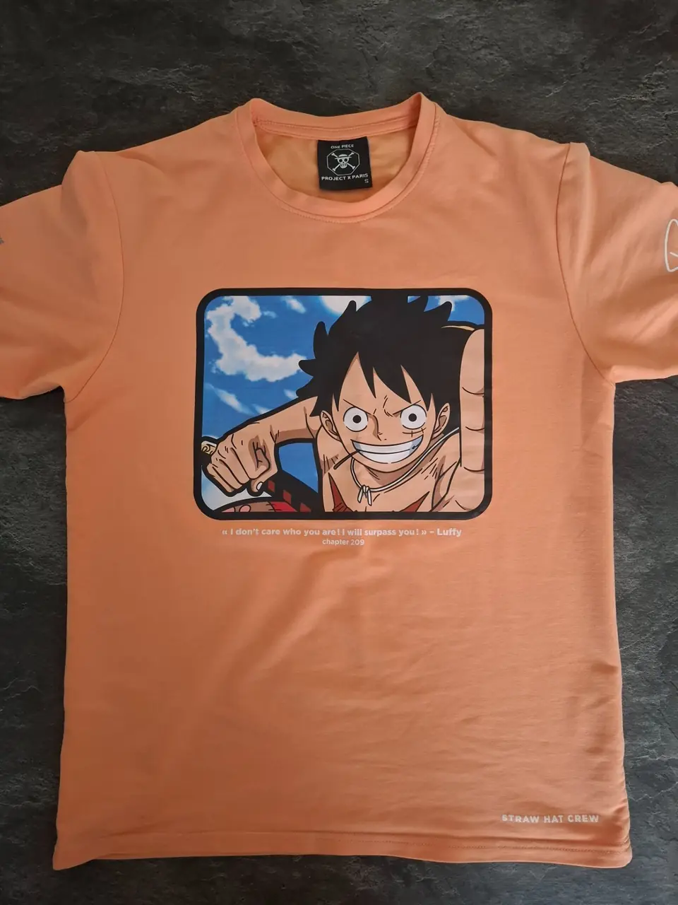 Monkey D. Luffy / Project X Paris
