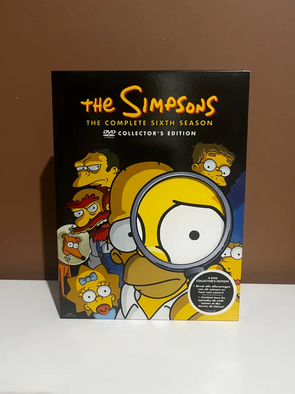 The Simpsons Saison 6 : Coffret DVD