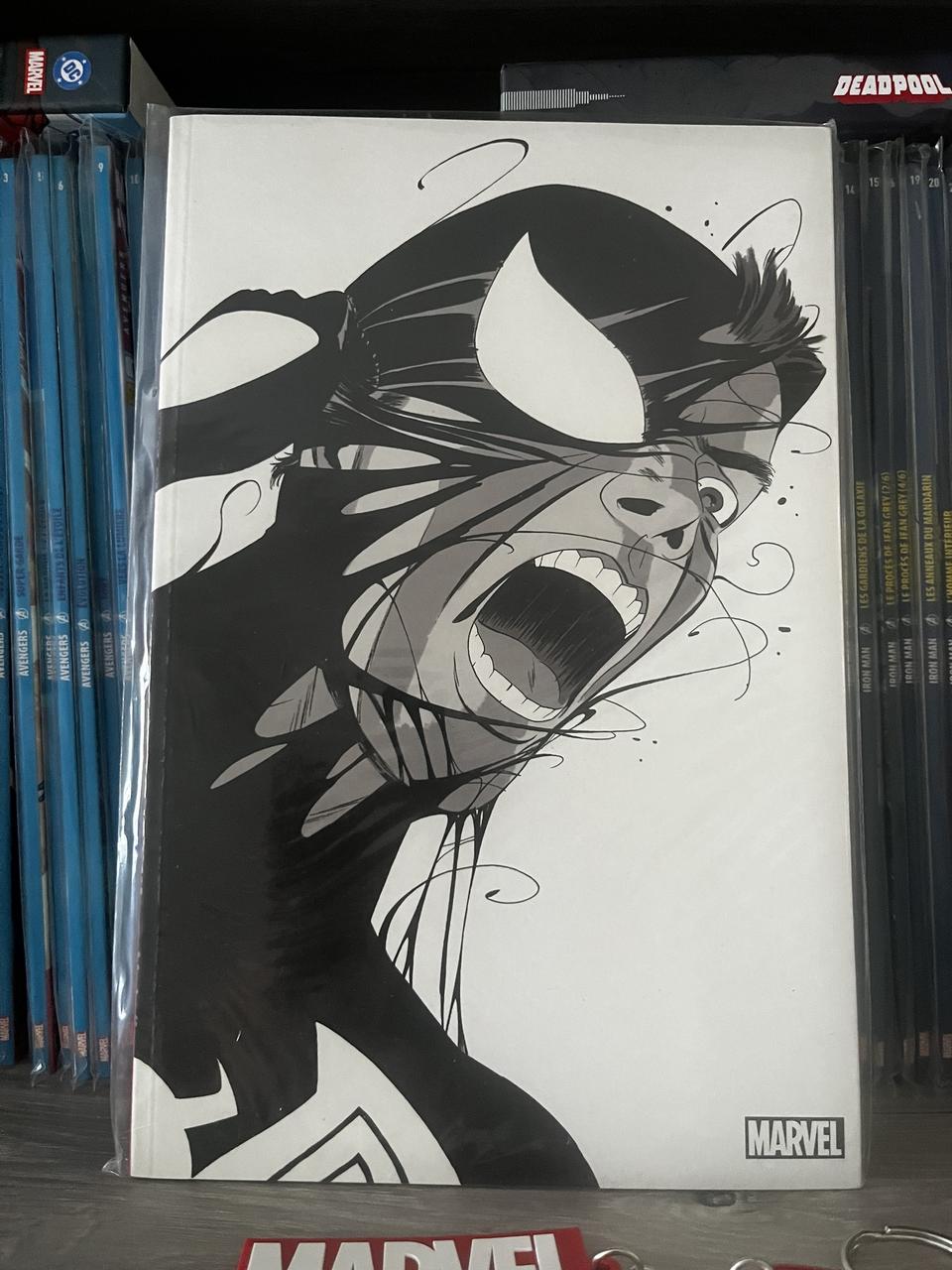 Spider-Man - Esprit de vengeance