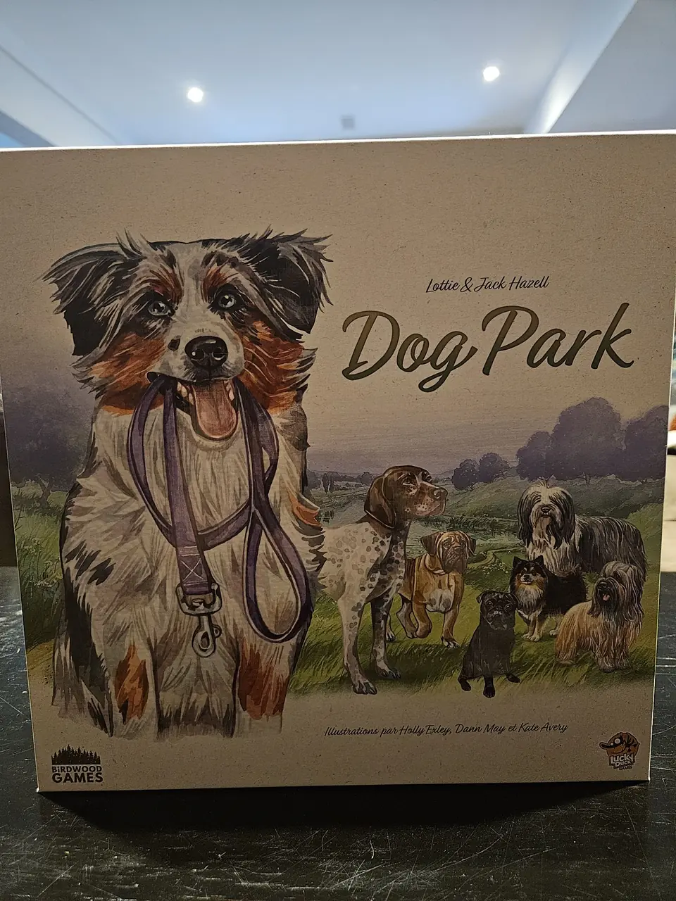 Dog Park · Lucky Duck