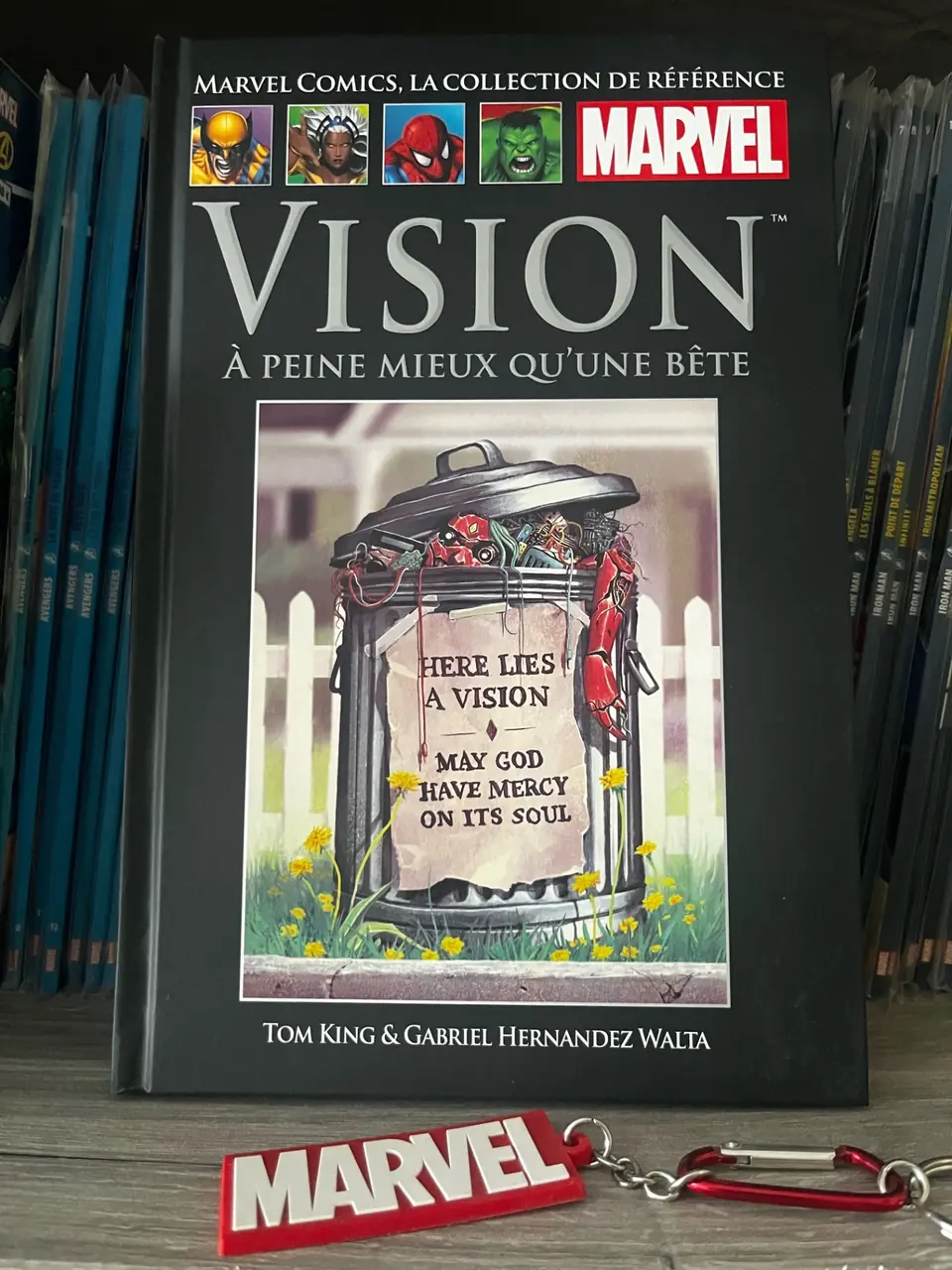 Vision : À Peine Mieux qu’une Bête