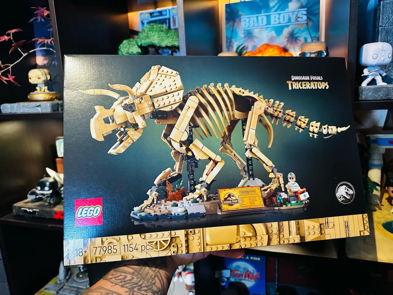 Les fossiles de dinosaure