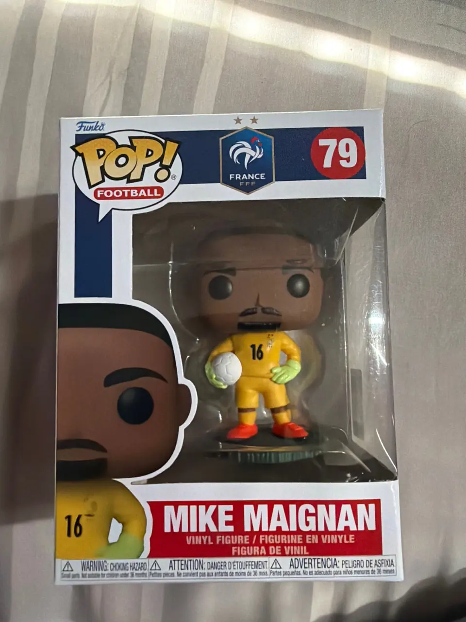 Mike Maignan