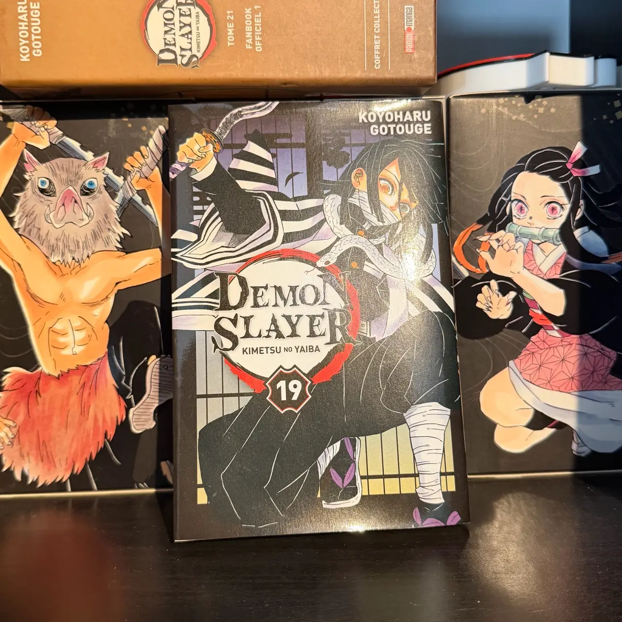 Demon Slayer (Kimetsu no Yaiba)