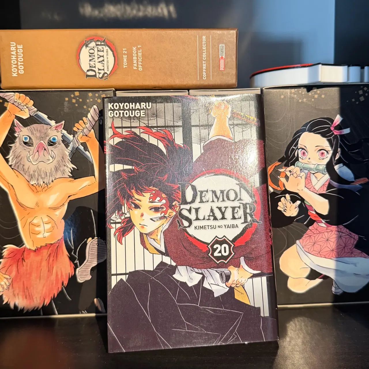 Demon Slayer (Kimetsu no Yaiba)