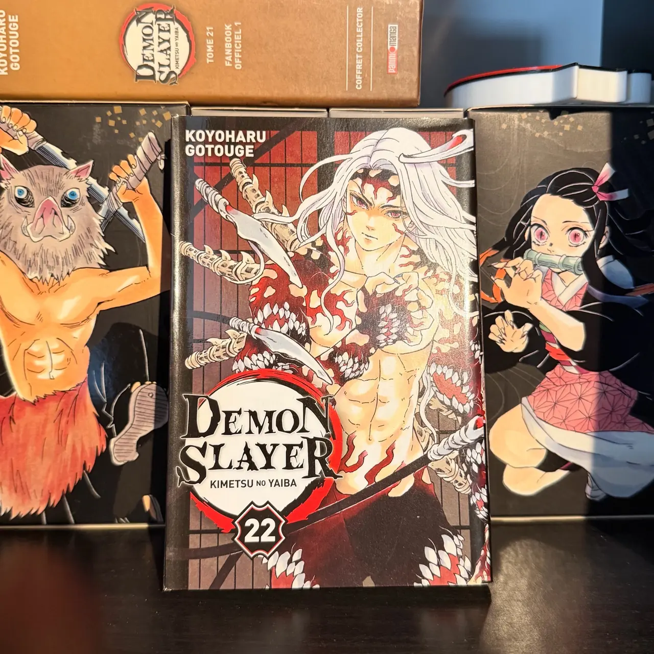 Demon Slayer (Kimetsu no Yaiba)