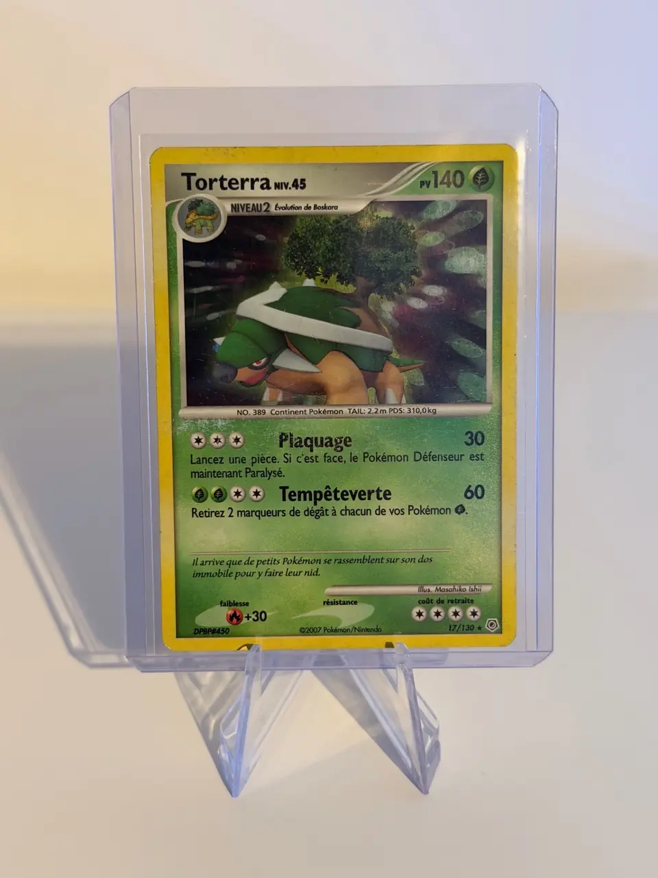 Torterra