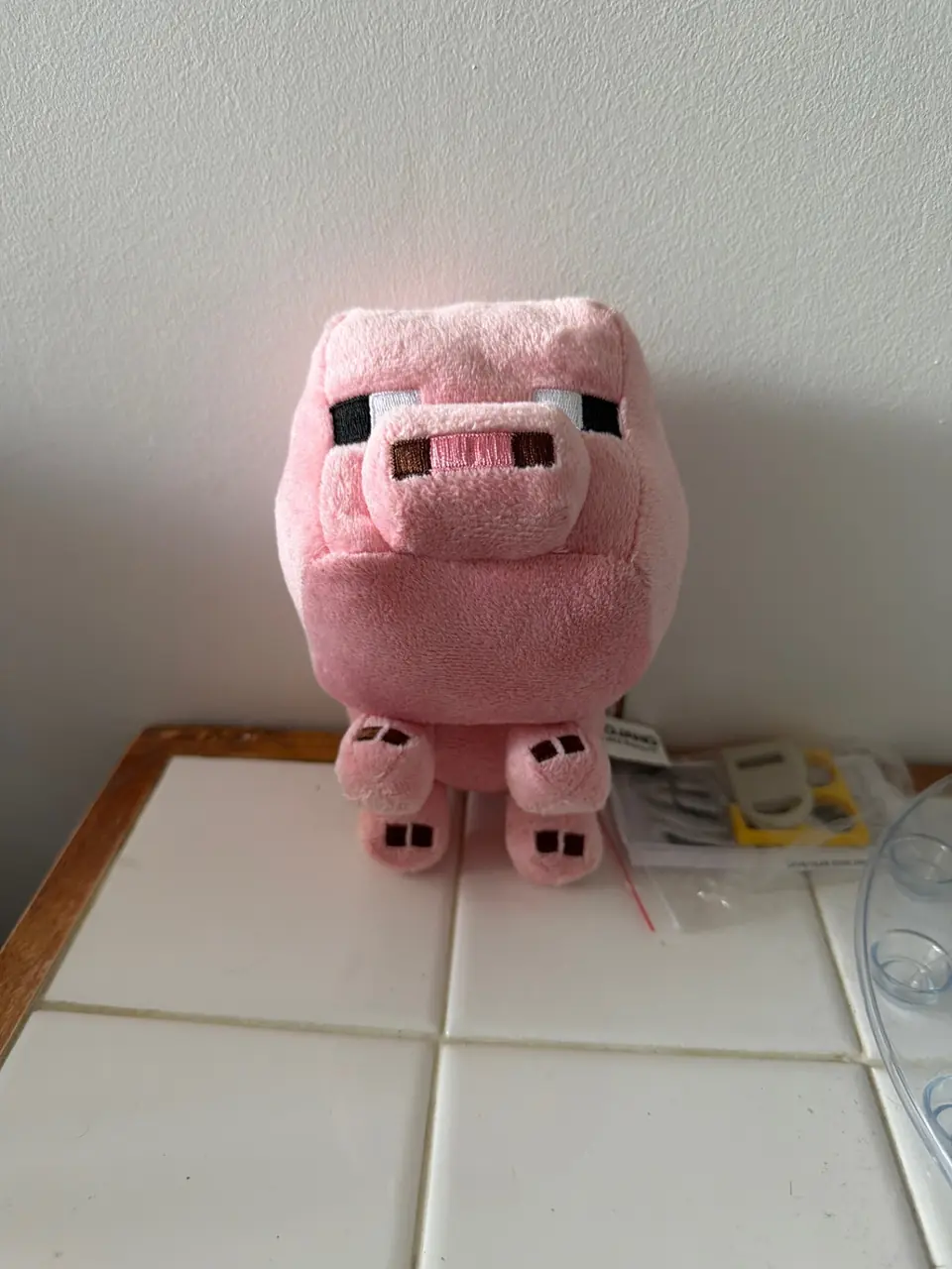Cochon